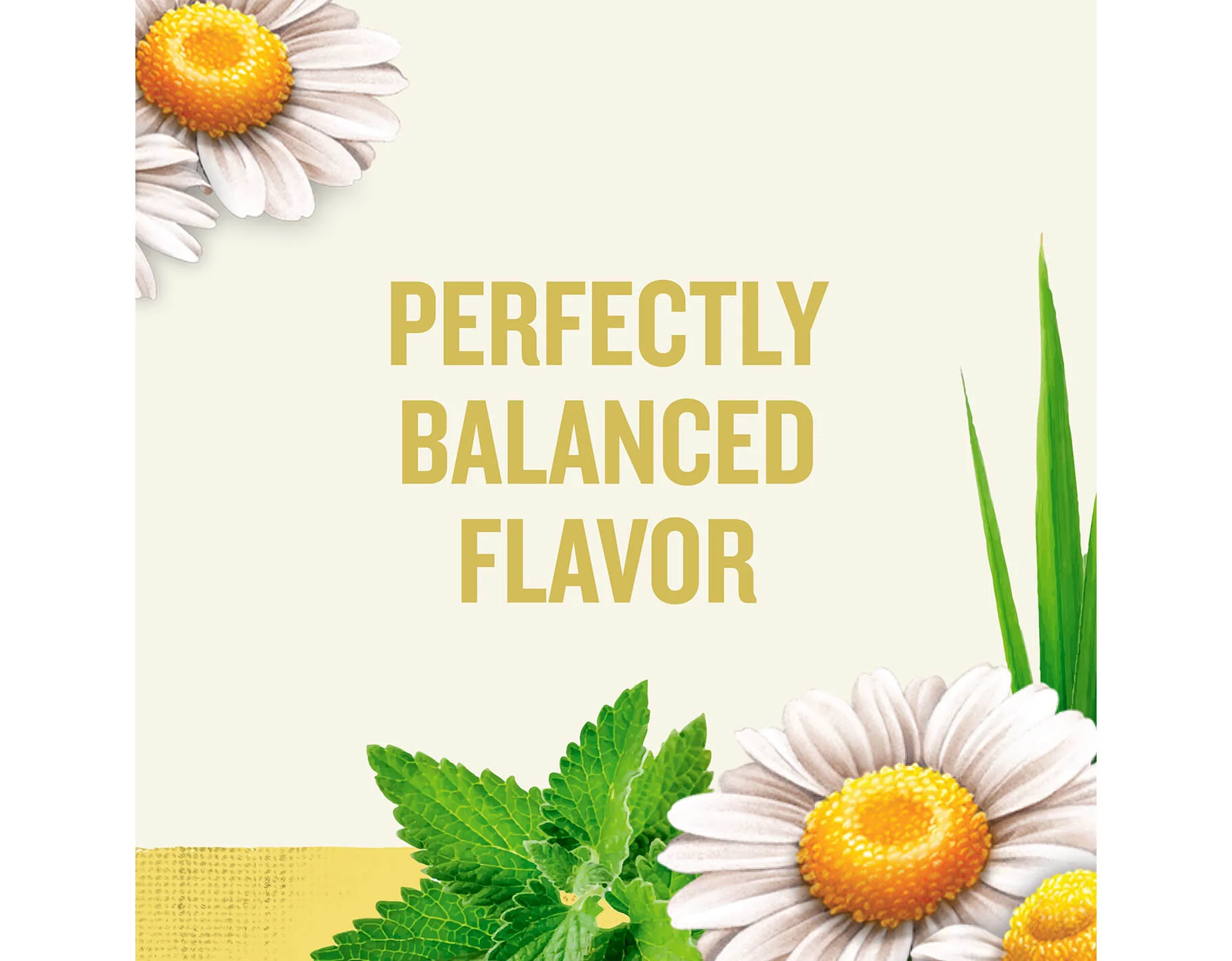 Chamomile Herbal Tea, 20 ct - Image 4