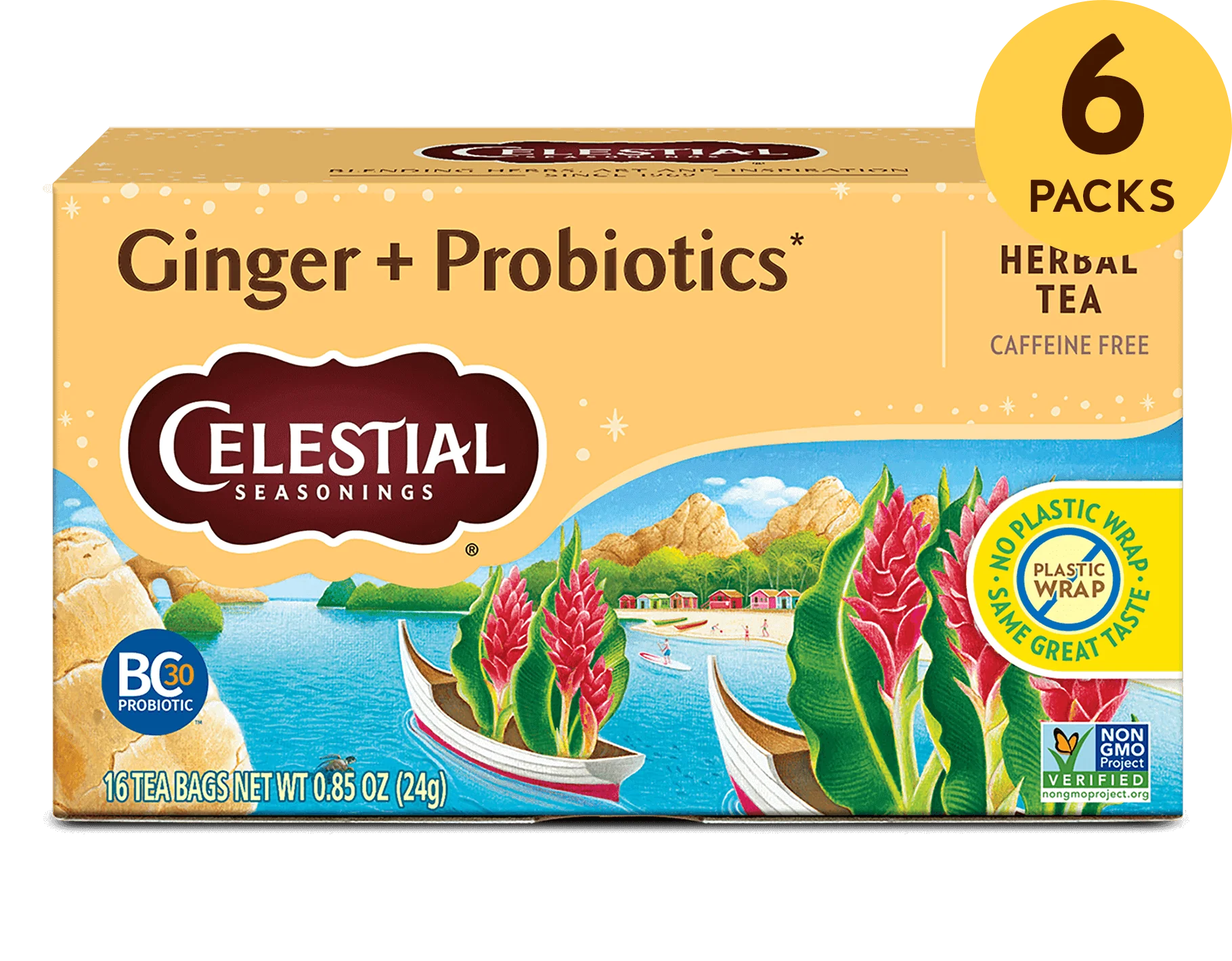 Ginger + Probiotics Herbal Tea - Image 2