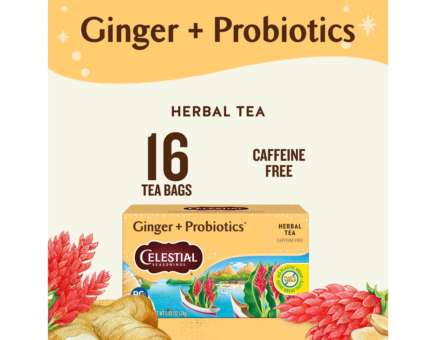 Ginger + Probiotics Herbal Tea - Image 3