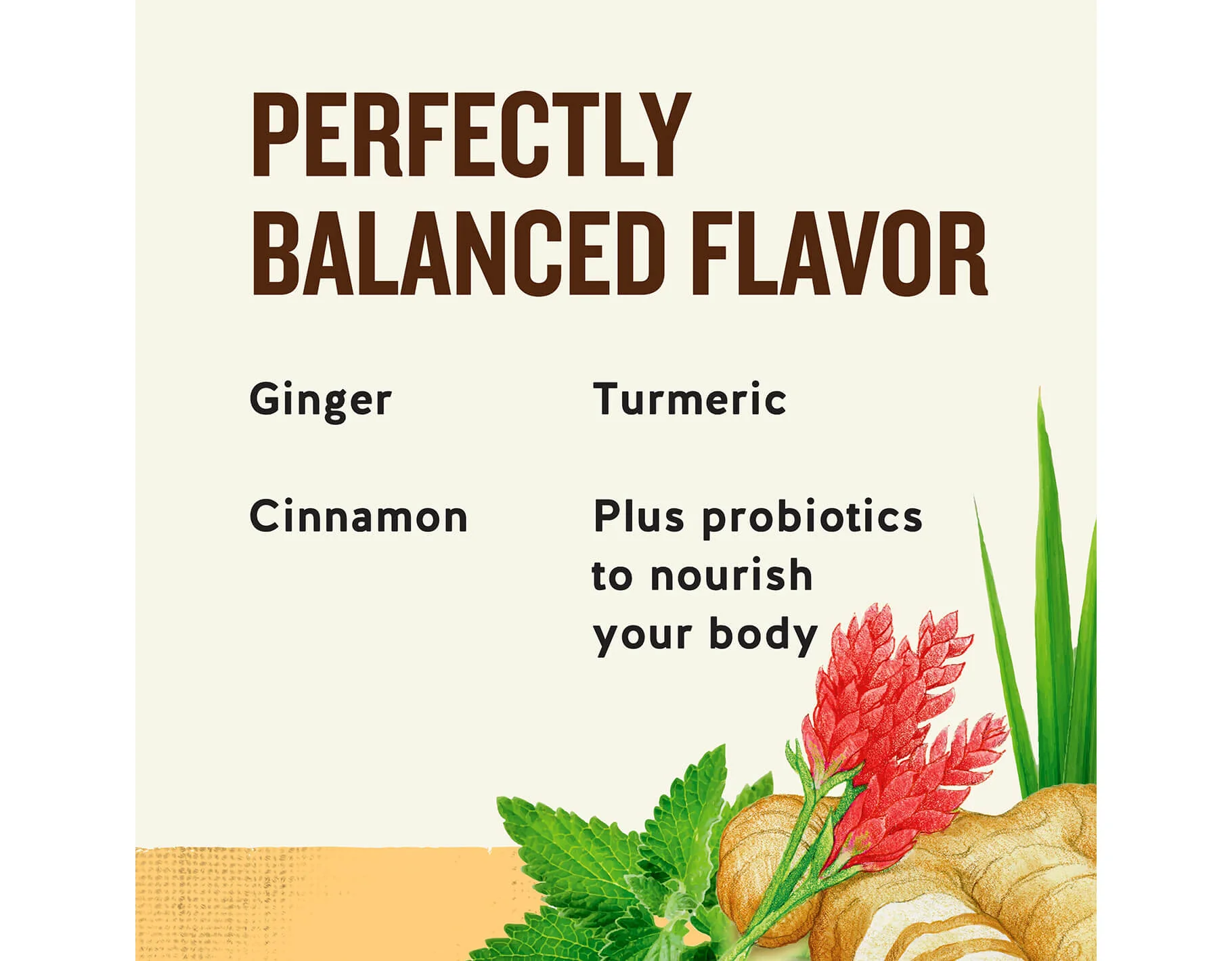 Ginger + Probiotics Herbal Tea - Image 4