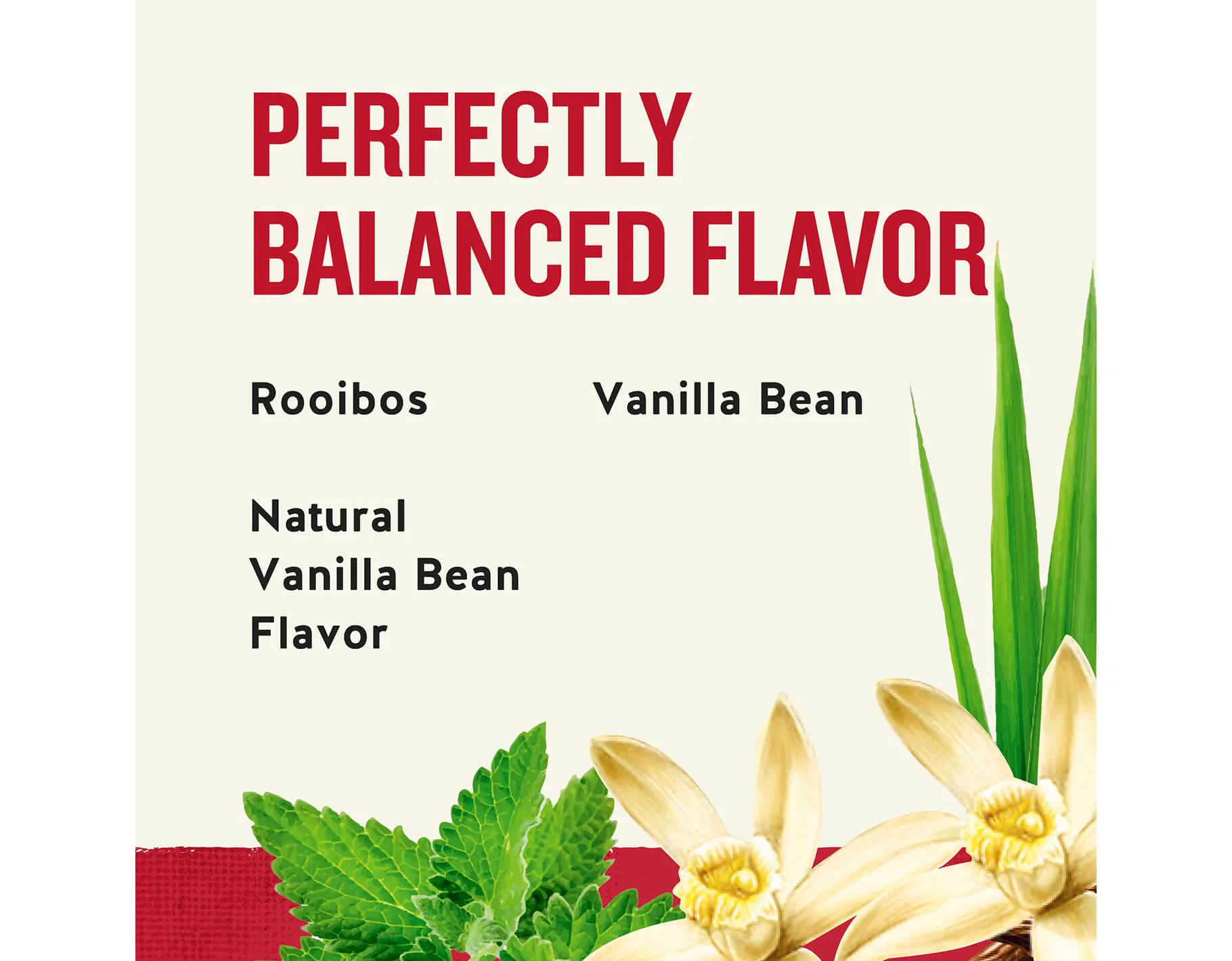 Madagascar Vanilla Herbal Tea - Image 4