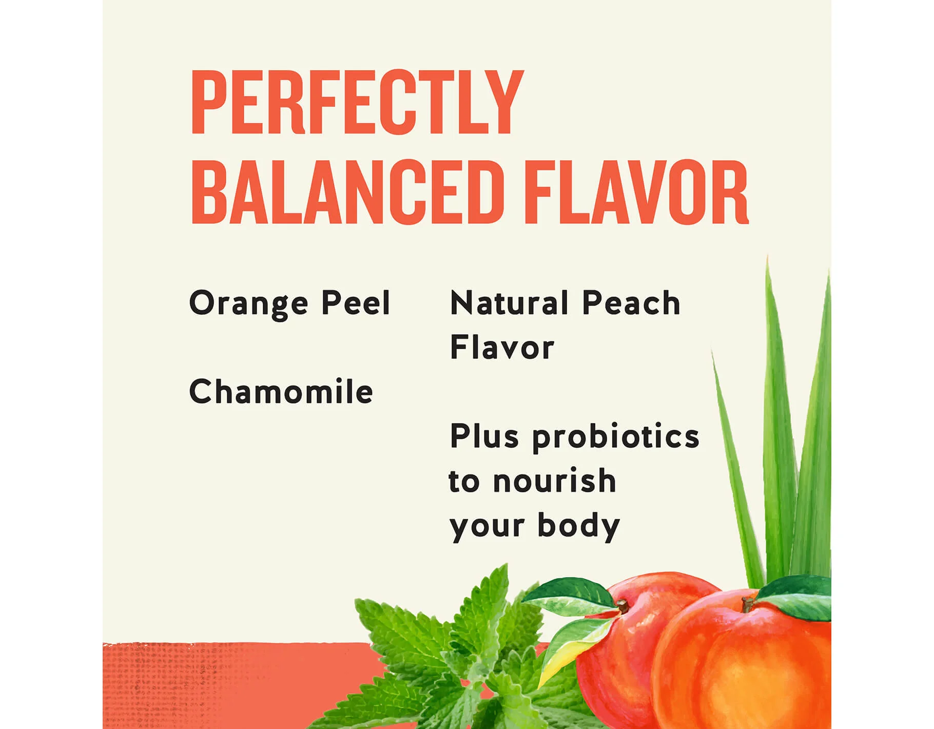 Peach + Probiotics Herbal Tea - Image 4