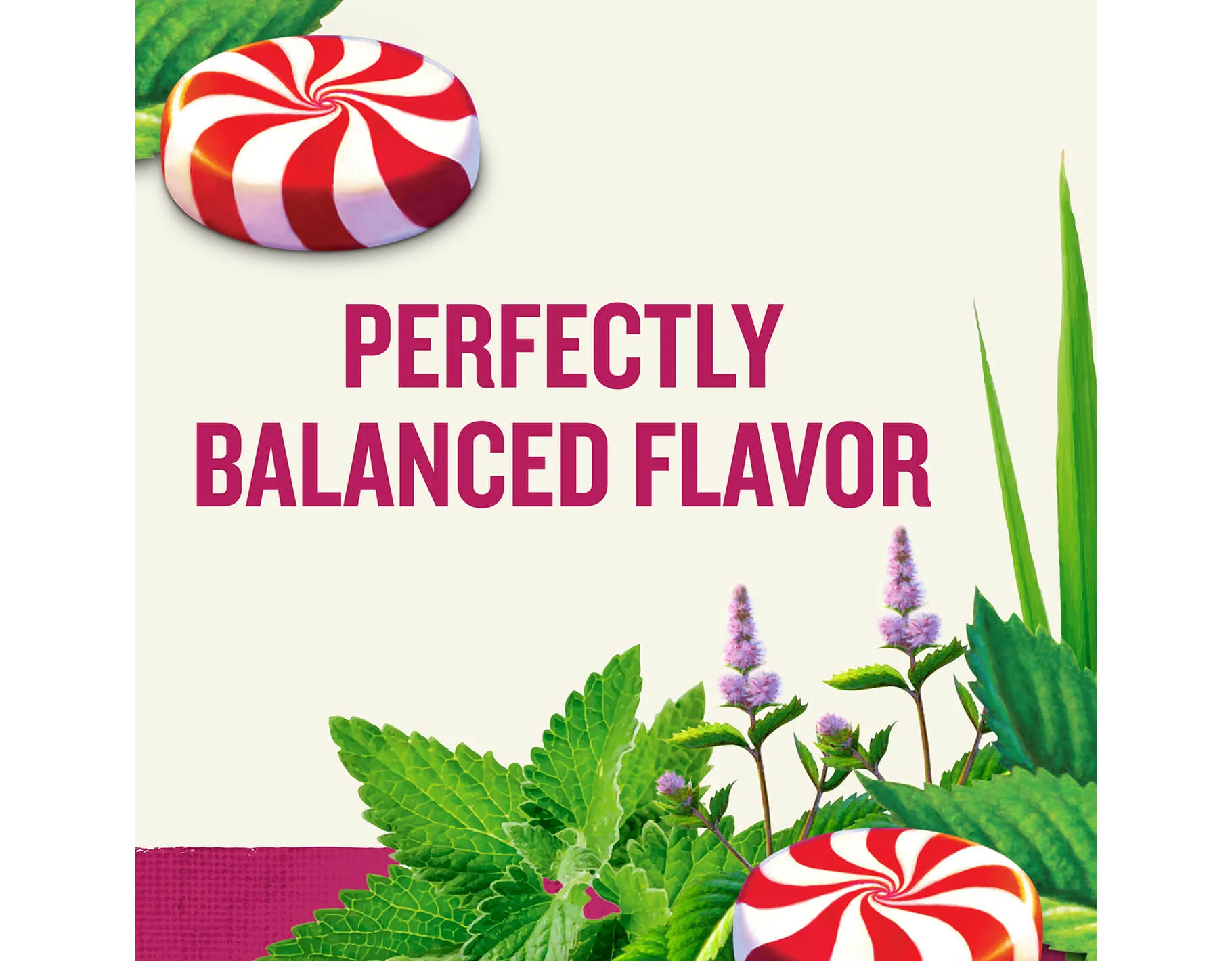 Peppermint Herbal Tea, 20 ct - Image 4
