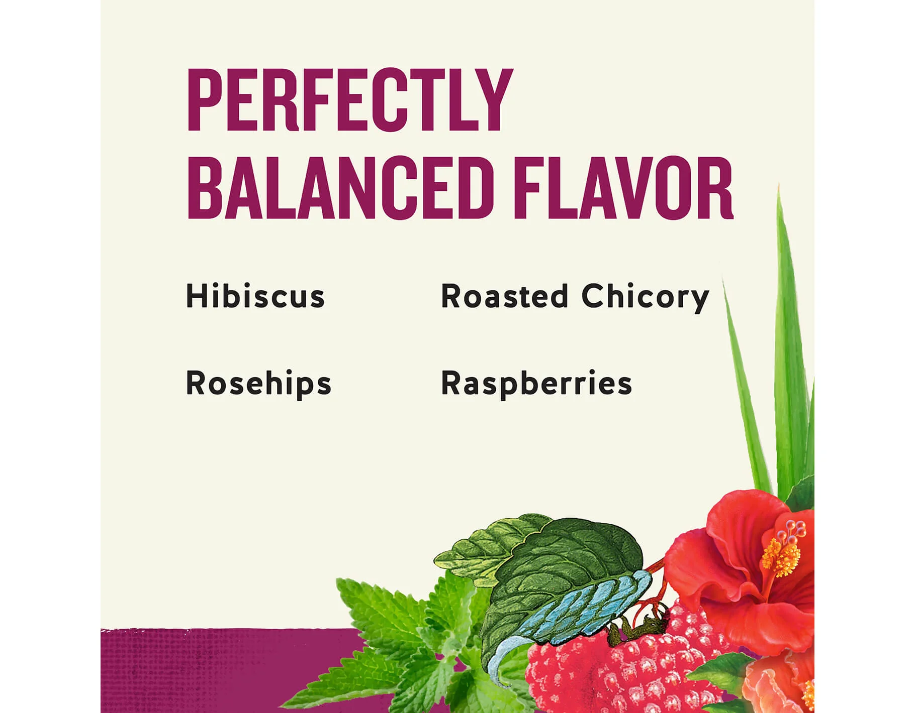 Raspberry Zinger Herbal Tea - Image 4