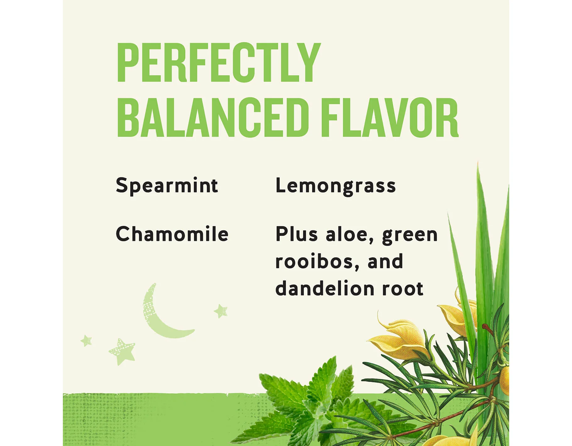 Sleepytime Detox Wellness Tea - Image 3